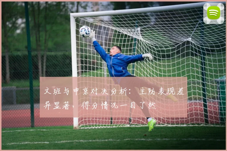 文班与申京对决分析：主防表现差异显著，得分情况一目了然
