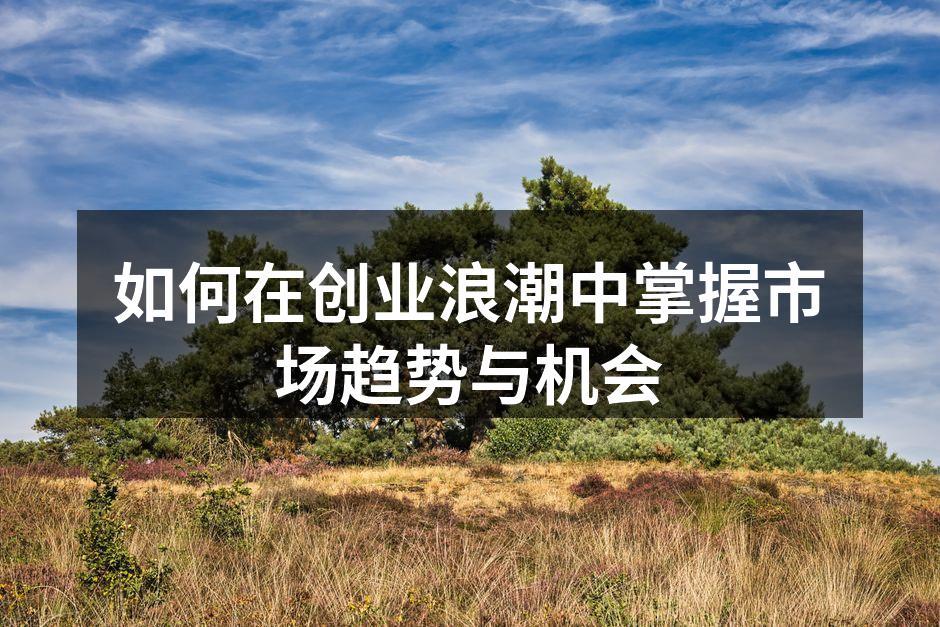如何在创业浪潮中掌握市场趋势与机会