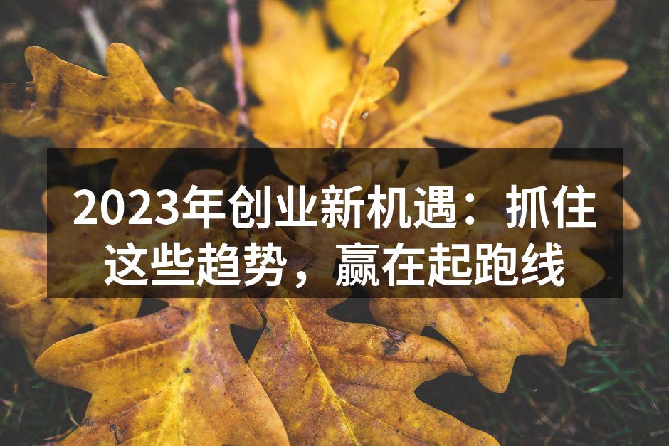 2023年创业新机遇：抓住这些趋势，赢在